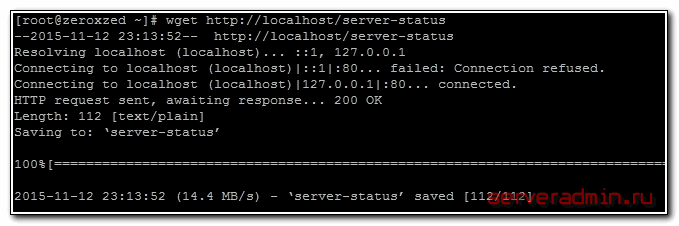 nginx server status