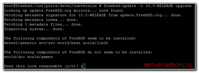 Обновление freebsd 10.2 до 10.3