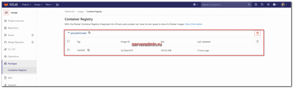 Gitlab Container Registry за Nginx reverse proxy | serveradmin.ru