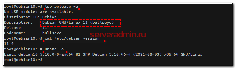 Проверка версии обновленной системы Debian 11 Bullseye